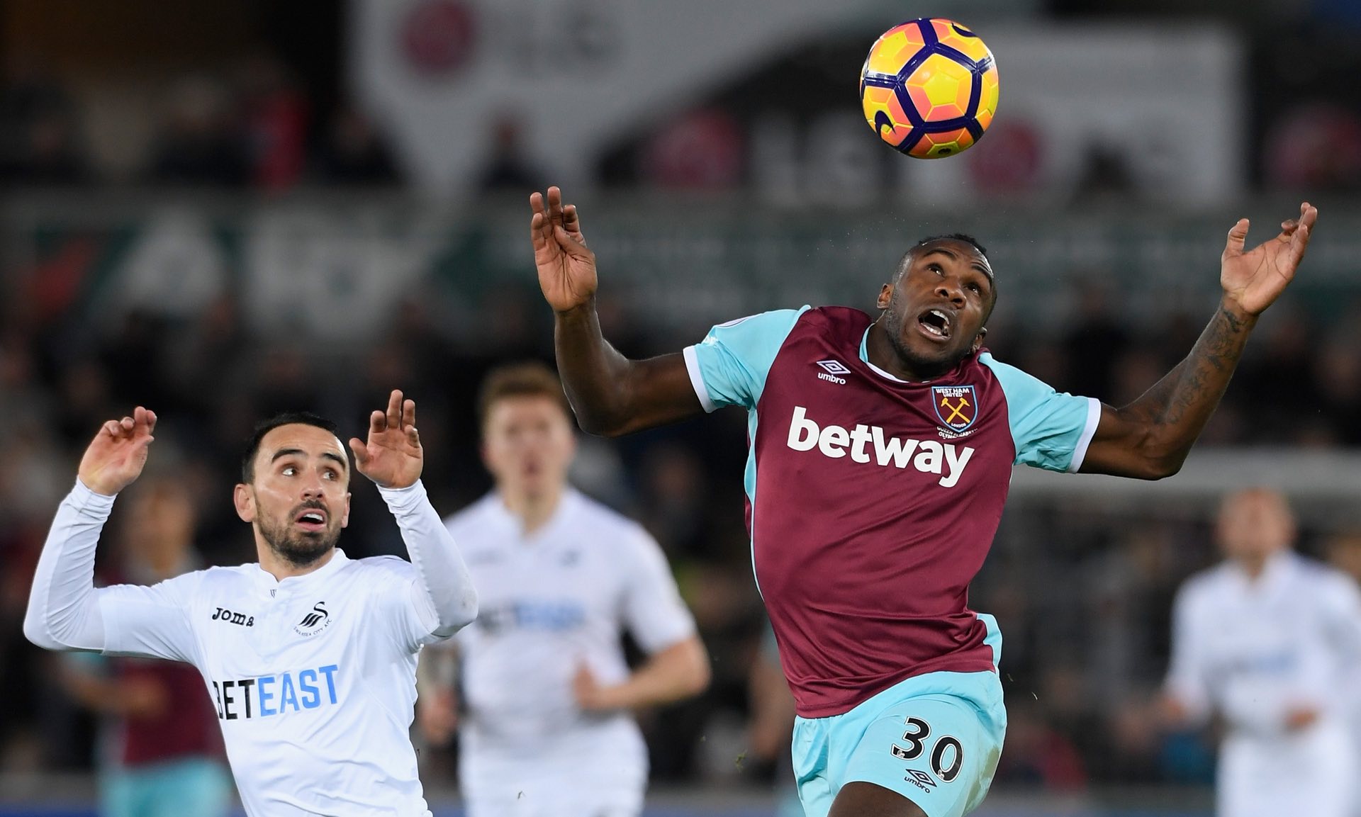 们热爱的模 们热爱的模